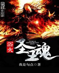 浴火圣王魂封面