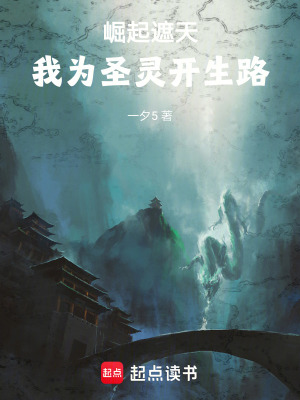 崛起遮天，我为圣灵开生路封面