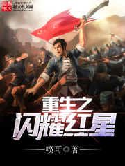 重生之闪耀红星封面