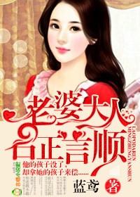 老婆大人，名正言顺封面
