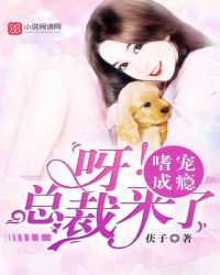 嗜宠成瘾：呀！总裁来了封面