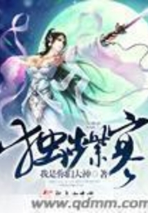 独步紫寒封面