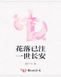 花落已注一世长安封面