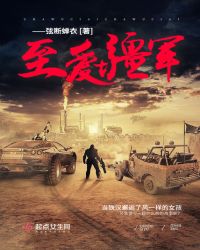 至爱疆军封面