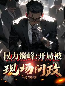 从副县长到封疆大吏封面