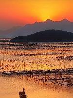 阴阳界之逆乱阴阳封面