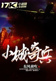 小城奇兵封面