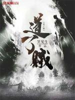 道了贼封面