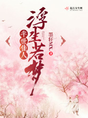 浮生若梦半世佳人封面