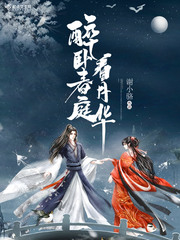 醉卧春庭看月华封面