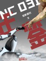 NC031年鉴封面