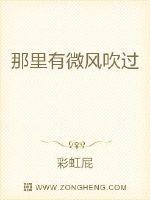 那里有微风吹过封面