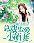 总裁蜜爱萌妻封面