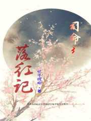 司命3落红记封面