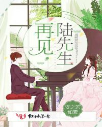 再见陆先生封面