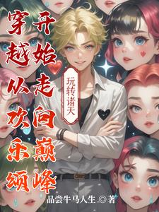 穿越从欢乐颂开始走向巅峰封面