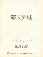 破天界域封面