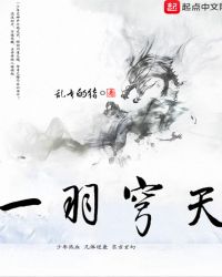 一羽穹天封面