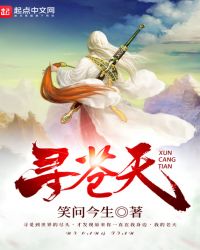 觅苍天封面