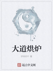 大道烘炉封面