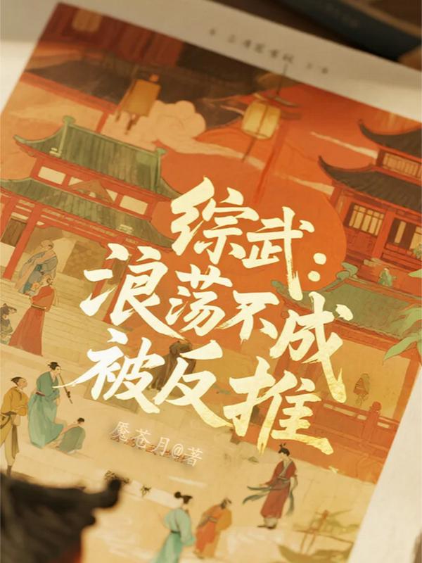 综武：浪荡不成被反推封面