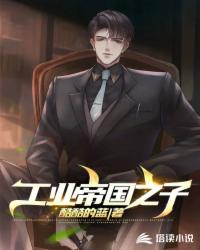 工业帝国之子封面