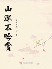 山深不吟赏封面