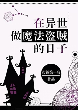 在异世做魔法盗贼的日子封面