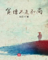 贫僧不是和尚封面