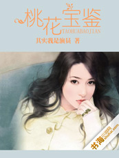 桃花宝鉴封面