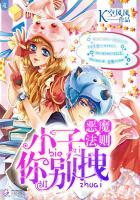 恶魔法则：小子，你别拽！封面