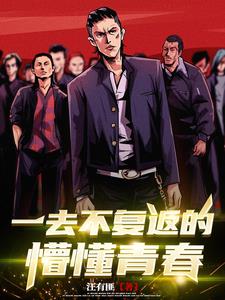 一去不复返的懵懂青春封面