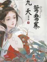 九天鸳鸯寨封面