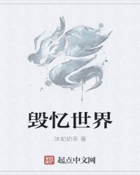 毁忆世界封面