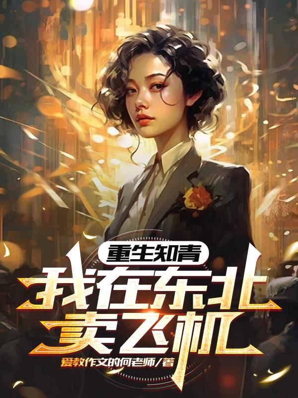 重生知青，我在东北卖飞机封面