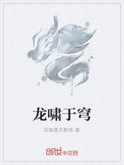 龙啸于穹封面