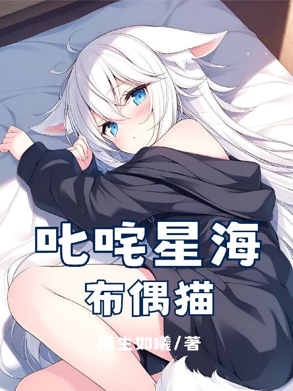 叱咤星海布偶猫封面