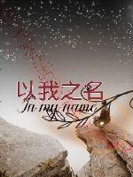 愿以我之名封面