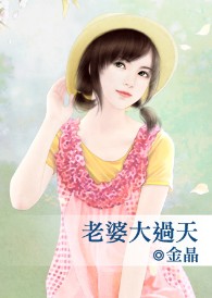 老婆大过天封面