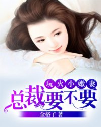 玩火小嫩妻：总裁，要不要封面