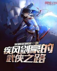 疾风剑豪的武侠之路封面
