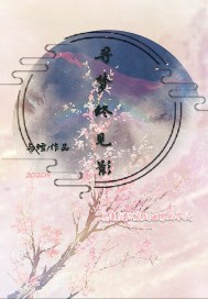 寻梦终见影封面