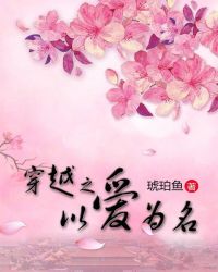 穿越之以爱为名封面