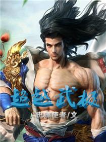 超越武极封面