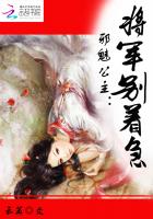 邪魅公主：将军别着急封面