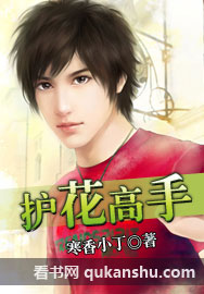 护花高手封面