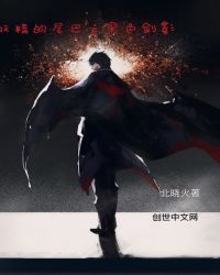 妖精的尾巴之黑色剑影封面