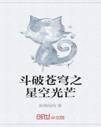 斗破苍穹之星空光芒封面