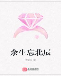 余生忘北辰封面