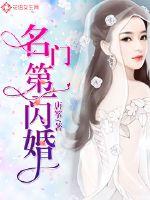 名门第一闪婚封面